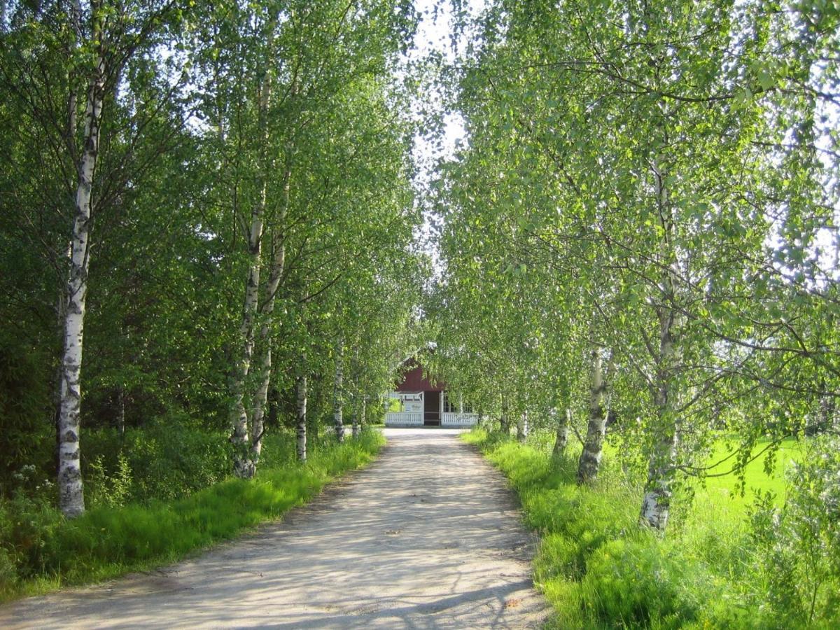Rauhalan Kievari